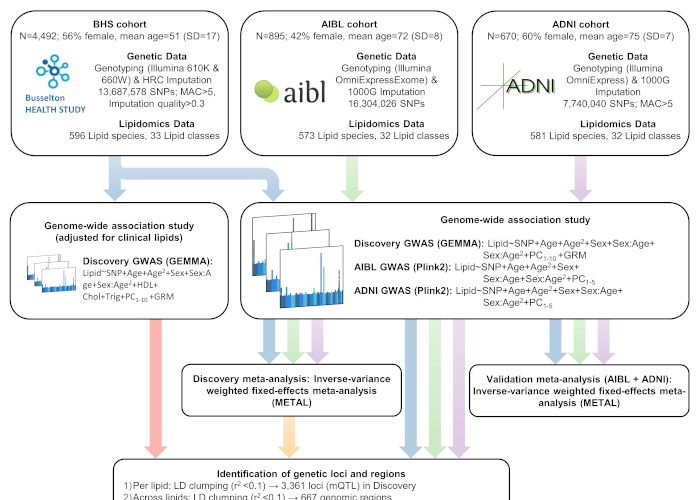 Cohort Description